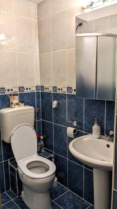 Cosy One Bedroom Flat With Free Parking & Wifi Клуж-Напока Экстерьер фото